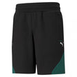 Puma Mercedes F1 Rövidnadrág - FansBRANDS®