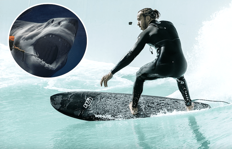 Hamilton: „Azt hittem, MOST FOGOK MEGHALNI…” - FansBRANDS® - HU