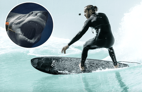 Hamilton: „Azt hittem, MOST FOGOK MEGHALNI…” - FansBRANDS® - HU