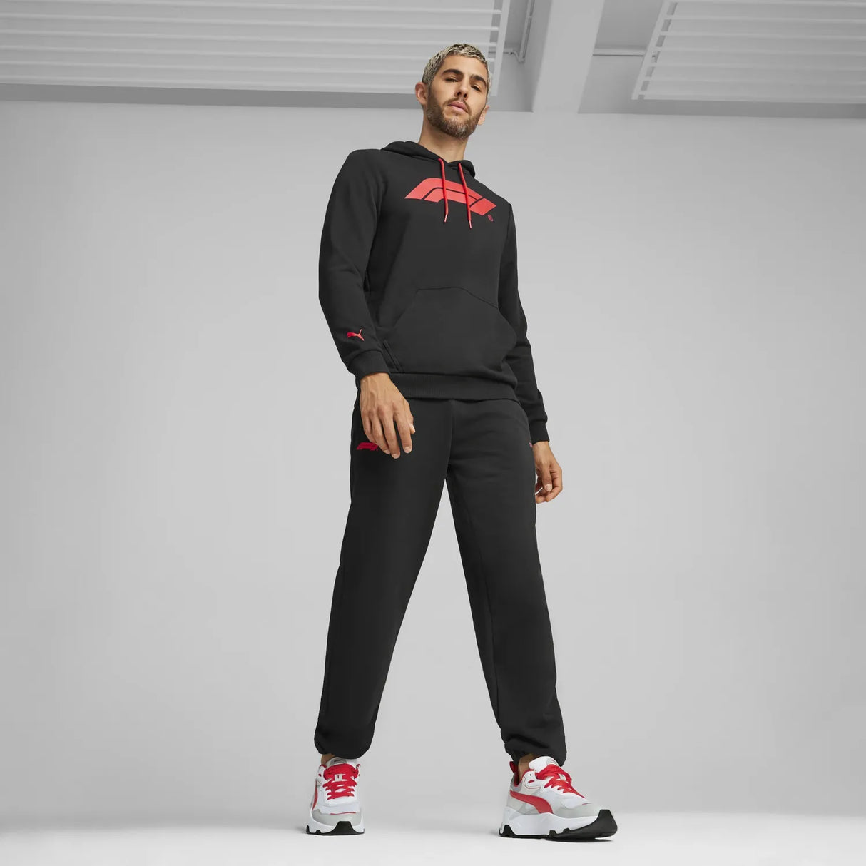 Formula 1 ESS Logo Hoodie 🔥