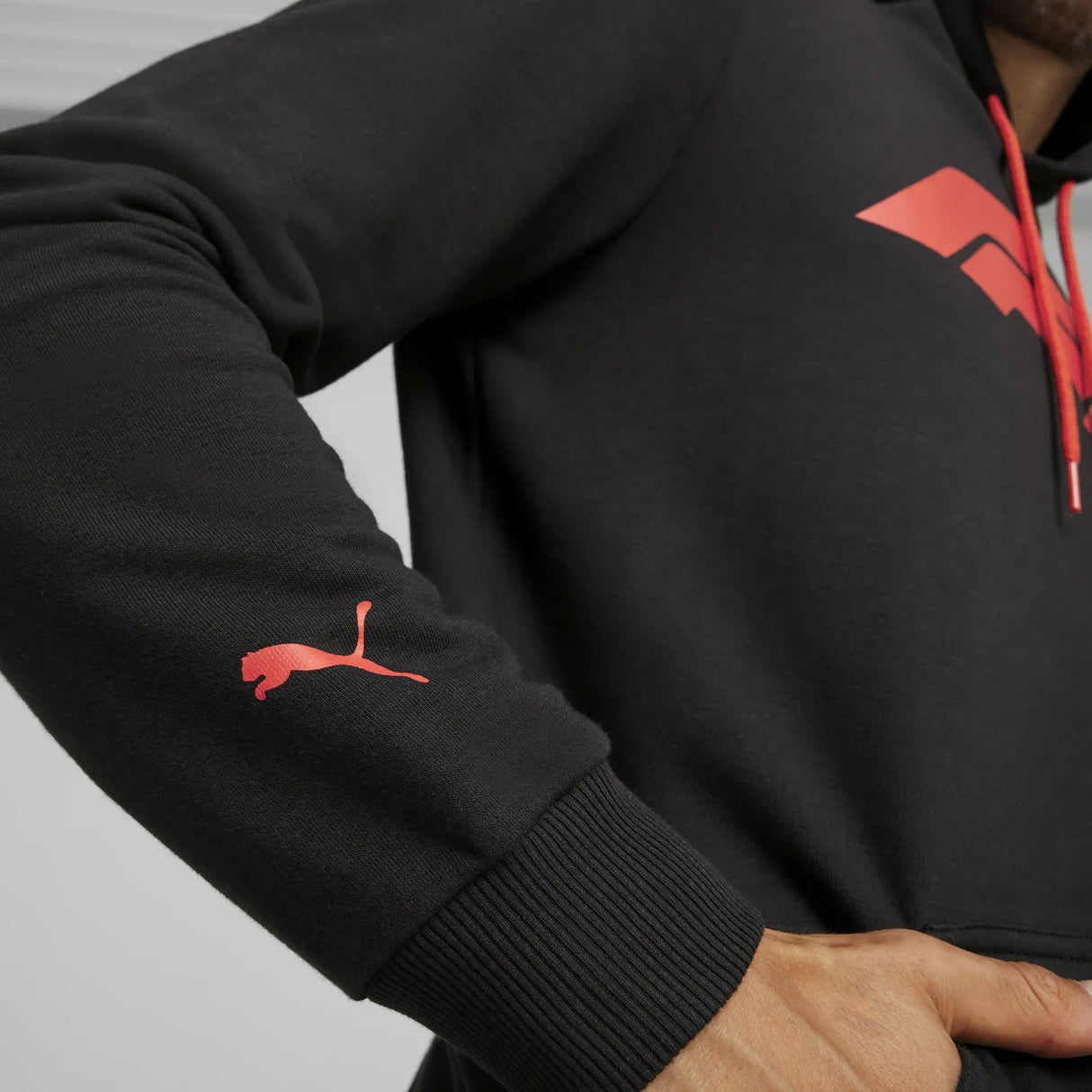 Formula 1 ESS Logo Hoodie 🔥