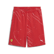Ferrari Race Color Splash Rövidnadrág 🔥 - FansBRANDS® - HU