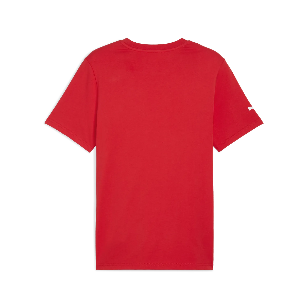 Formula 1 Essentials Logo T-Shirt 🔥
