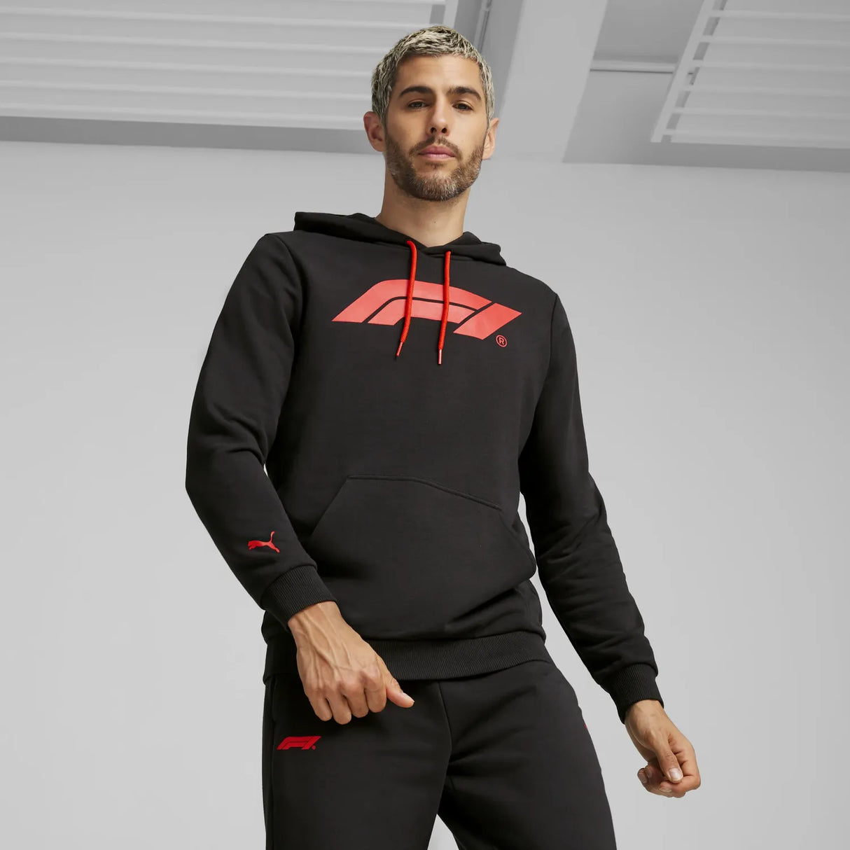 Formula 1 ESS Logo Hoodie 🔥